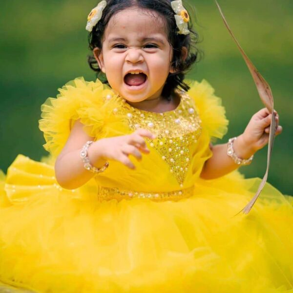 Premium Golden Embroidered Birthday Baby Dress with Sunshine Sparkle Tulle - Kiddleplace BD