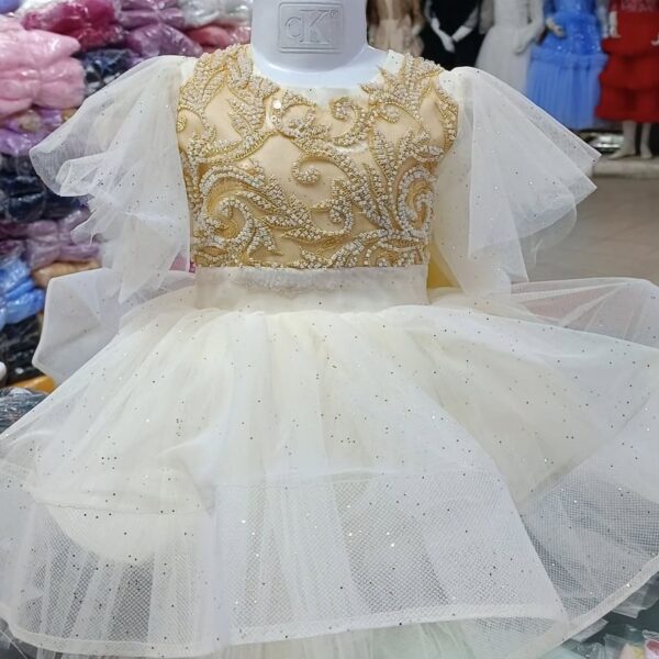 Champagne Gold Embroidered Baby Dress Tulle Party Gown - Kiddleplace