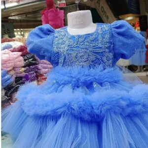Elegant Blue Embroidered Baby Dress Tulle Party Wear for Kids - Kiddleplace