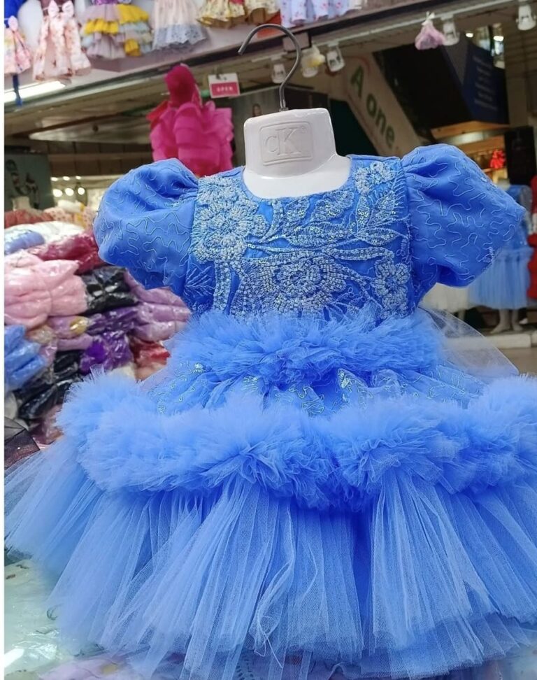 Elegant Blue Embroidered Baby Dress Tulle Party Wear for Kids - Kiddleplace