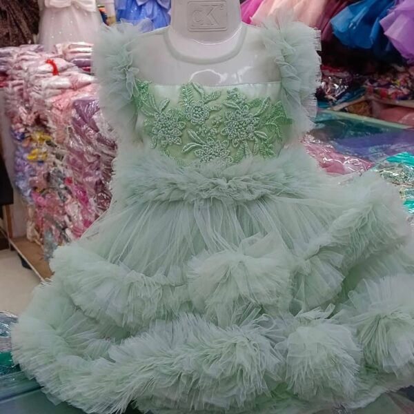 Premium Pastel Green Baby Dress Party Gown with Green Floral Embroidery and Multi-Layered Tulle Net - HKD902 - Kiddleplace